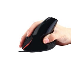 Ewent EW3156 mouse USB tipo A Ottico 1000 DPI