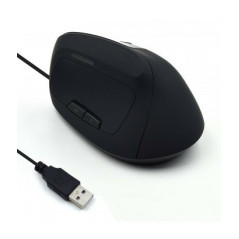 Ewent EW3157 ratón Oficina mano derecha USB tipo A Óptico 1800 DPI