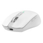 CoolBox W01 ratón Juego mano derecha RF inalámbrico Óptico 1600 DPI CoolBox W01 ratón Juego mano derecha RF inalámbrico Óptico 1600 DPI