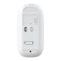 CoolBox W02 ratón Hogar Ambidextro RF Wireless + Bluetooth Óptico 1600 DPI
