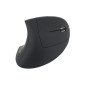 Mouse raton ergonomico equip optico - wireless inalambrico - 1600dpi