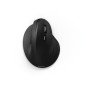 Raton ergonomico emw - 500 inalambrico negro