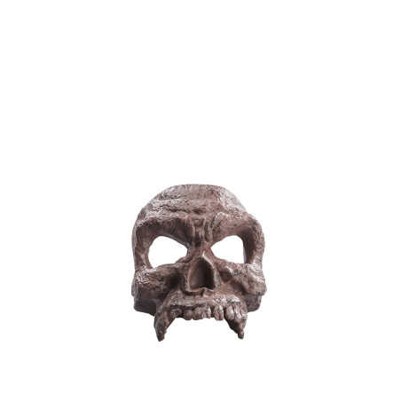 Figura hasbro indian jones adventure series -  helena shaw dial del destino