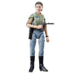 Star Wars The Black Series Princess Leia (Endor)