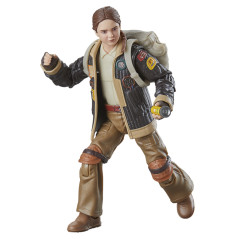 Star Wars The Black Series Fern