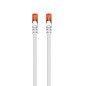 Cable red ewent latiguillo rj45 utp cat6 7m gris