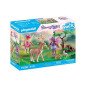 Playmobil -  starter pack hadas con animales del bosque