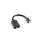 Adaptador lanberg mini displayport macho a displayport hembra cable 10 cm negro