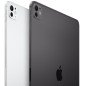 APPLE 13-INCH IPAD PRO WIFI + CELLULAR 256GB WITH STANDARD GLASS - SPACE BLACK APPLE 13-INCH IPAD PRO WIFI + CELLULAR 256GB WITH STANDARD GLASS - SPACE BLACK
