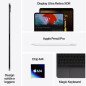 APPLE 13-INCH IPAD PRO WIFI + CELLULAR 256GB WITH STANDARD GLASS - SPACE BLACK APPLE 13-INCH IPAD PRO WIFI + CELLULAR 256GB WITH STANDARD GLASS - SPACE BLACK
