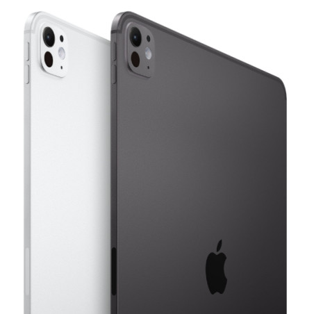 APPLE 13-INCH IPAD PRO WIFI 256GB WITH STANDARD GLASS - SILVER