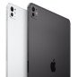 APPLE 13-INCH IPAD PRO WIFI 256GB WITH STANDARD GLASS - SILVER