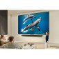 Smart TV LG 75QNED82A6B.AEU 4K Ultra HD 75" LED HDR Edge-LED QNED