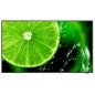 Videowall Monitor NEC 60005059 UHD 4K Ultra HD 65" 60 Hz 65"