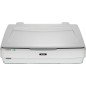 Escáner Epson Expression 13000XL