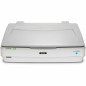 Escáner Epson Expression 13000XL