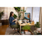 Monitor HP P34hc G4 34" Wide Quad HD