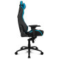 DRIFT DR500 Sedia da gaming per PC Sedia imbottita tappezzata Nero, Blu DRIFT DR500 Sedia da gaming per PC Sedia imbottita tappezzata Nero, Blu