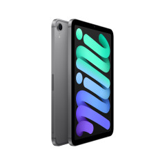 Apple iPad mini Wi-Fi + Cellular 128GB - Grigio Siderale