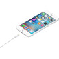Apple Cavo da Lightning a USB (1 m) Apple Cavo da Lightning a USB (1 m)