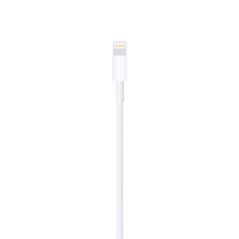 Apple Cavo da Lightning a USB (1 m)