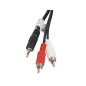 Lanberg CA-MJRC-10CC-0050-BK cavo audio 5 m 3.5mm 2 x RCA Nero