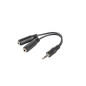 Lanberg AD-0024-BK cavo audio 0,1 m 3.5mm 2 x 3.5mm Nero Lanberg AD-0024-BK cavo audio 0,1 m 3.5mm 2 x 3.5mm Nero