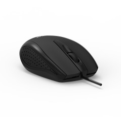 Acer HP.EXPBG.008 mouse Casa Ambidestro USB tipo A Ottico