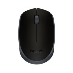 Logitech M170
