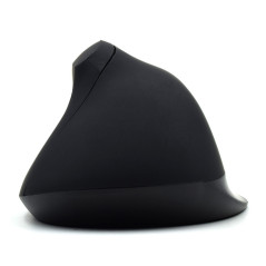 Ewent EW3158 mouse Ufficio Mano destra RF Wireless 1600 DPI
