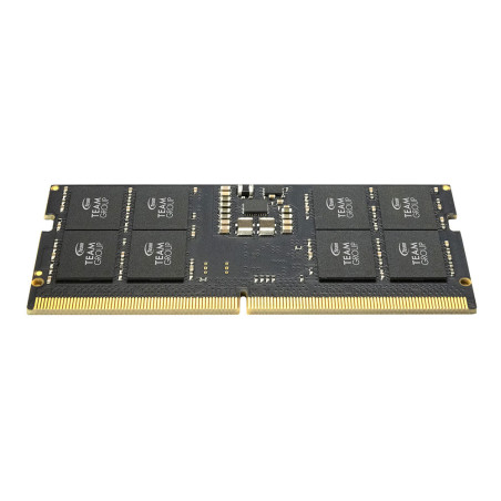 Team Group ELITE TED532G5600C46A-S01 memoria 32 GB 1 x 32 GB DDR5 56000 MHz Data Integrity Check (verifica integrità dati)