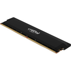 Crucial Pro CP16G60C36U5B memoria 16 GB DDR5 6000 MHz Data Integrity Check (verifica integrità dati)