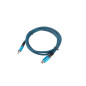 Lanberg CA-CMCM-45CU-0012-BK cavo USB USB4 Gen 2x2 0,12 m USB C Nero, Blu Lanberg CA-CMCM-45CU-0012-BK cavo USB USB4 Gen 2x2 0,12 m USB C Nero, Blu