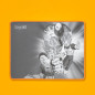 Blade Gaming PC Dragon Ball Super PACK Keyboard + Mouse + Mousepad tastiera Mouse incluso USB Grigio, Arancione