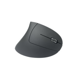 MediaRange MROS232 mouse Ufficio Mano destra RF Wireless Ottico 1600 DPI