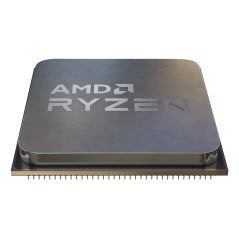 AMD Ryzen 5 9600 processore 3,8 GHz 32 MB L3