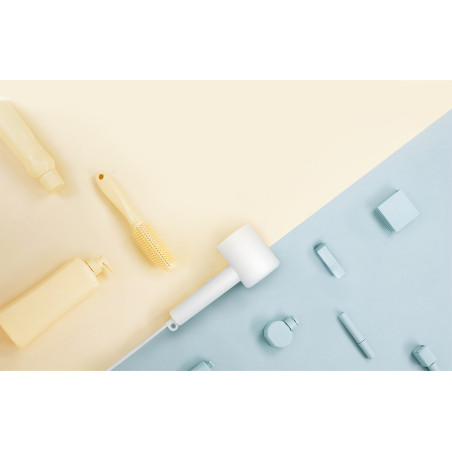 Xiaomi Mi Ionic Hair Dryer H300
