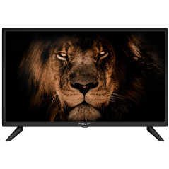 Nevir NVR-7802-24RD2N TV 61 cm (24") HD Nero 150 cd m²