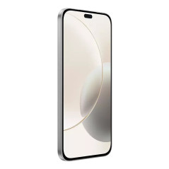 Honor 400 Lite 17 cm (6.7") Doppia SIM MagicOS 9.0 5G Micro-USB 8 GB 256 GB 5230 mAh Grigio