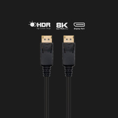 Ewent EC1406 cavo DisplayPort 2 m Nero