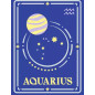 Kit para pintar con nmeros ravensburger creart serie trend d zodiac: acuario