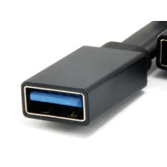 Conceptronic HUBBIES01B hub di interfaccia USB 3.2 Gen 2 (3.1 Gen 2) Type-C 5000 Mbit s Nero