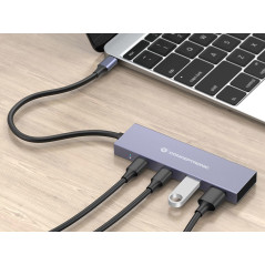 Conceptronic HUBBIES13G hub di interfaccia USB 3.2 Gen 2 (3.1 Gen 2) Type-C 10000 Mbit s Grigio