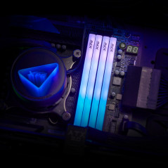 ADATA LANCER BLADE RGB memoria 32 GB 2 x 16 GB DDR5 6000 MHz Data Integrity Check (verifica integrità dati)