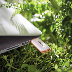 Intenso Green Line unità flash USB 128 GB USB tipo A 3.2 Gen 1 (3.1 Gen 1) Beige, Marrone