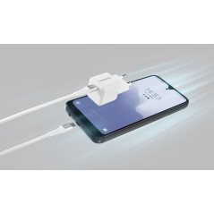 Intenso 7803042 Caricabatterie per dispositivi mobili Universale Bianco AC Ricarica rapida Interno