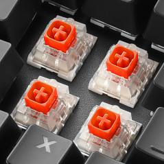 Sharkoon SKILLER SGK60 tastiera Gaming USB QWERTY Spagnolo Nero