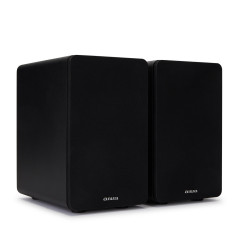 Reflexion SP-A100 altoparlante Nero Cablato 140 W