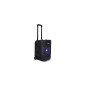 Altavoz portatil fonestar california 200w - jack - auxiliar - funcion karaoke - bluetooth - usb - mp3 - radio fm - microfono