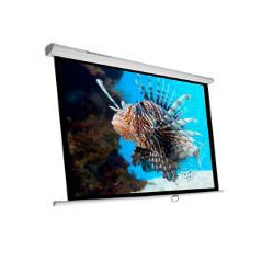 Phoenix Technologies PHPANTALLA-240 schermo per proiettore 3,43 m (135") 1 1